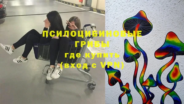 мет Арсеньев