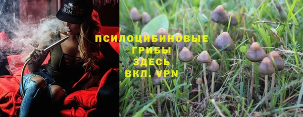 трава Армянск