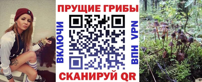 наркошоп  Нарткала  Псилоцибиновые грибы Cubensis 
